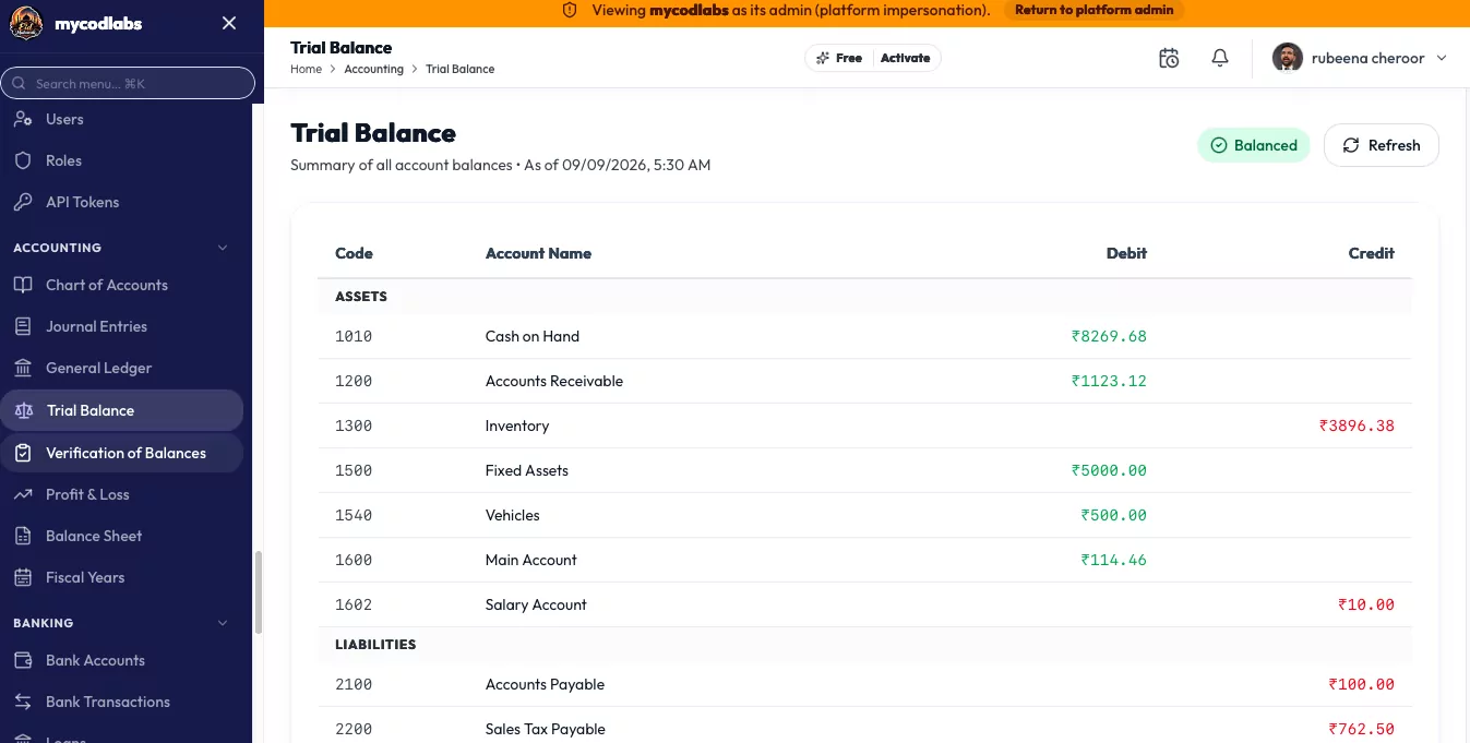 MCPOS Cloud trial balance showing every account debit and credit in balance